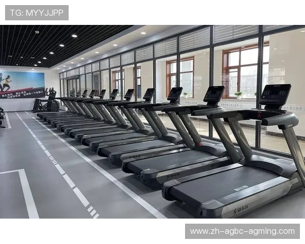 高品质室内健身器材厂家源头供应链解决方案